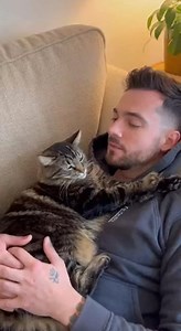 218K views · 4.3K reactions | kiss me please ! # #animal #catlover Don't Touch , Don't love | Anaya Ayala | Facebook