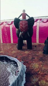 अनीश डीजे एंड डेकोरेशन जयमाल के लिए संपर्क करें तेजनीपुर=9116228221