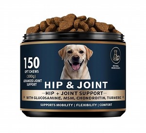 Glucosamine & Chondroitin for Dogs Hip and Joint Supplement Chews with Msm, Vitamin C Pain & Mobility Support