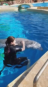 22K views · 629 reactions | Saamme jatkuvasti paljon kysymyksiä...