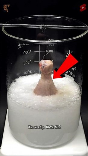 Most Dangerous Acid In The World!