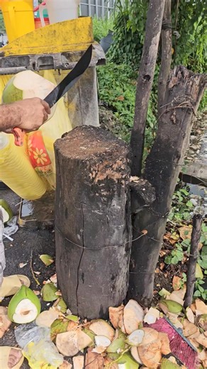 11K views · 107 reactions | Agua de coco Dominicana  | Elevangeliodeldia | Facebook