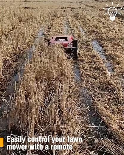 3.3K views · 11 reactions | Check out remote control lawn mower | EmigrantTV | Facebook