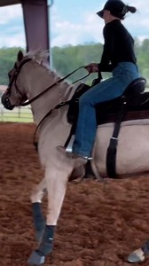 Motivational Monday. @tr.barrelhorses depends on CSI Saddle Pads for all there barrel horses. #csichamp #csipads #csisaddlepads #saddlepads #handmade #USA #horse #westerntack #tack #barrelracer | CSI Saddlepads