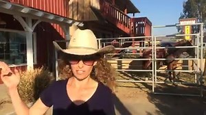 Free demo in Norco this Thursday! #Weaver Leather #Inland Vet Supply | Stacy Westfall