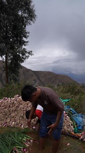 438K views · 13K reactions | Cuando veo a estos niñitos, no puedo...