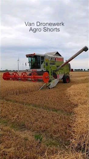 Claas Dominator 218 Mega - winter barley harvest 2023 😎