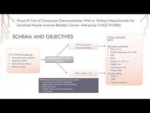Highlighting Clinical Trials: Muscle Invasive Bladder Cancer | Part II: Current MIBC Clinical Trials