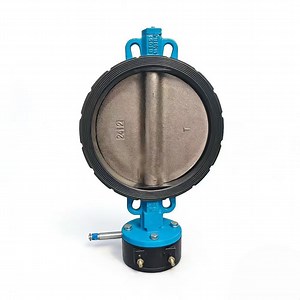[Hot Item] Cast Iron Wafer Type Butterfly Valve NBR EPDM Seat for Cooling Water Circulation System with Worm Gear