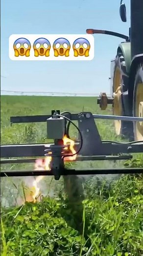 बिजली से खरपतवार नष्ट करने का काम 😱😱 #farmingtraditions #shortsviral #farming #farming101