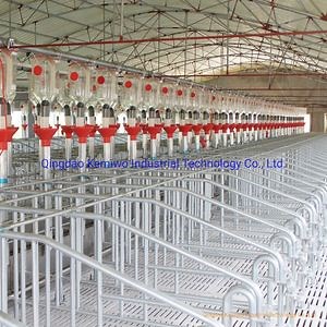 [Hot Item] Poultry Equipment Galvanized Sow Single Crate Positioning Crate Floor Farrowing Crates