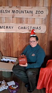 5.2K views · 23 reactions | Welsh Mountain Zoo on Reels | Facebook