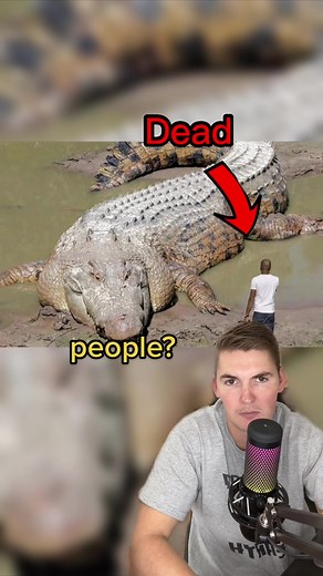 World’s Deadliest Crocodile Gustave the Man Eater #gustave#hunting#crocodile#animalplanet#didyouknow#alligator#maneater#greenscreen