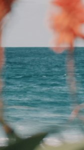 Stay in. Stay up. Stay comfy. Sleep is the gift that *always* gives. ✨🎁 Available only at Cotton On Robinsons Place Manila & SM Seaside Cebu #CottonOnPH #CottonOnBody | Cotton On Philippines