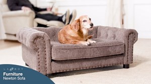 Petmate Fold Out Sofa, Gray, One Size