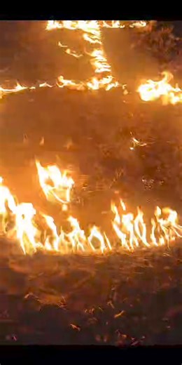 Tsena gare ga molelo yoo ngwanaka, o rapele o re Jehoveh thusa ka molelo yo boitshepo ke nyerise melemo yotlhe e ba e dirisetseng BY FIRE BY FORCE | PAULO