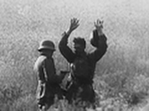 Hunting for a Killer | National Geographic