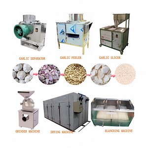 [Hot Item] Garlic Peeler Production Line Automatic Garlic Peeling Machine