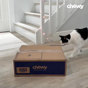 With Chewy, find brands and recipes with real premium ingredients your cat is sure to love, like Weruva. | Chewy