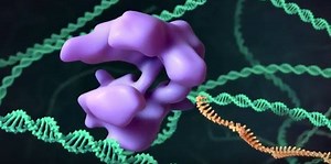 Confused by how exactly gene editing could be used for people living with cystic fibrosis? Watch this video to get a better understanding of how this new technology could lead us to our ultimate goal: a cure. | Cystic Fibrosis Foundation