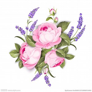 [Hot Item] Ready Cylinder in Mould Label for Plastic Iml Labeling