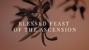 61 reactions · 23 shares | Institute of Catholic Culture on Reels | Facebook