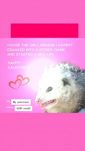 Caprock Canyons State Park on Reels