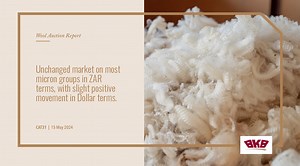 Check out our latest Wool Market Report! Leon du Plessis and Jacques Taljaard discuss the latest wool sale. Unchanged market on most micron groups in ZAR terms, with slight positive movement in Dollar terms. #BKBLtd #BKBFibre #BKBWool #BKBRWS #RWS #Wool #BKBWoolAuction | BKB