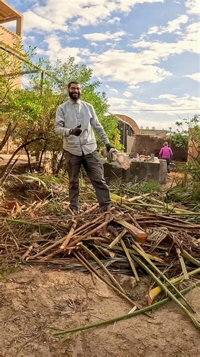 Meet the team behind the scenes as they turn a monster mulch pit into soil! 🌱 🌎 #permaculture #discoverpermaculture #permacultureinaction #mulchpit #chopanddrop #compost #organicfertilizer #foodforest #soil #buildsoil #sustainable #gardening #greeningthedesert #jordan | Discover Permaculture with Geoff Lawton