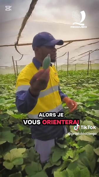 Produbio Congo sur TikTok