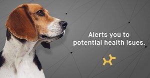 21K views | Embark offers breed-specific health tests to identify genetic disease risks and more. | Embark Vet | Facebook