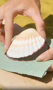 290K views · 326 reactions | DIY Mini Notebook From Ocean Treasure | Wood Mood | Facebook