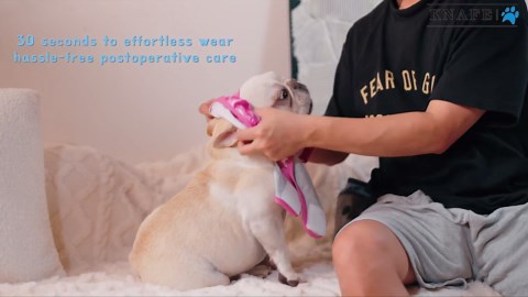 Recovery Suit for Dogs After Surgery – Breathable Dog Onesie Cone Alternative, Anti-Licking Surgical Suit for Spay Neuter Wounds, Comfortable E-Collar Replacement for Male & Female Dogs