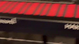 12 reactions | Olympia - Paris Monday, May 29 th Tsuji / Deep Forest Backstage - Setup . #deepforest #tsuji #olympia #paris | Deep Forest | Facebook