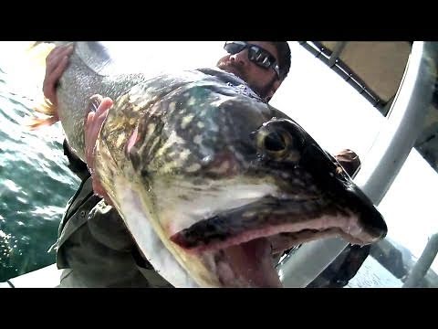 Flaming Gorge Lake Trout--Monsters from the Deep
