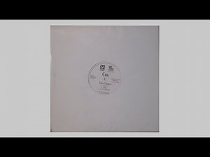 Cru - Lisa Lipps (Dirty) - 1997 Def Jam | Violator Promo - Yogi - 12" Vinyl Upload