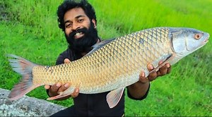 പെടക്കണ മീൻ ചുട്ടെടുത്തത് വീഡിയോ ഇഷ്ടപ്പെട്ടെങ്കിൽ ഷെയർ ചെയ്യണേ | M4tech