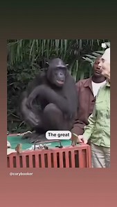 Blackberry Creek Farm Animal Sanctuary on Reels | Facebook