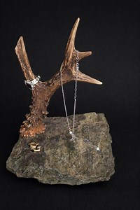 Antler Jewelry Stand, Jewelry Holder Organizer, Rustic Natural Home Decor, Universal Gift for Women and Men - Etsy