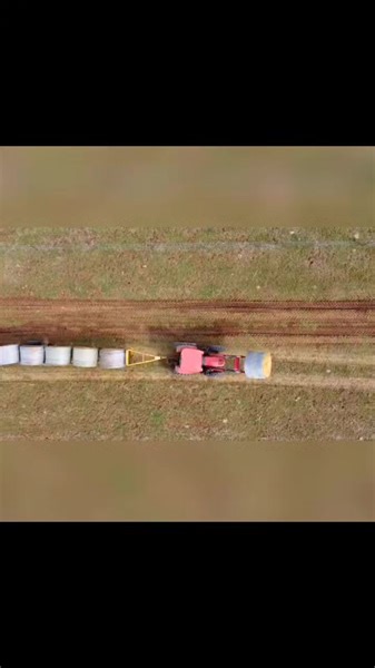 2,286± acres for sale in Washington County, Texas. Gibbs Creek Ranch features Brazos River frontage with beach access as well as 5 low fenced pastures. The ranch can also support 500± cattle. https://bit.ly/GibbsCreekRanch #forsale #texas #realestate #reels #property #land #texasranches #texasproperty #texasranchsalesllc #trending #reelsinstagram #reelsfb #viral #cattle #brazosriver | Texas Ranch Sales, L.L.C.