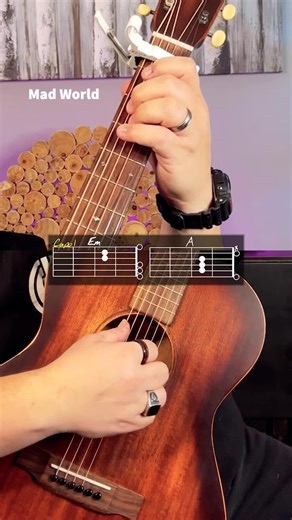 Mad World Guitar Tutorial! #guitar #guitarra #guitare #music #musica #chevansmusic #musician #guitartutorial #acousticcover #learnguitar #musicteacher #guitarlessons #guitarteacher #easy #beginner #chords #guitarchords #guitarist #guitaristsoftiktok #guitarists #guitariste #guitarist #guitarists #guitaristsofinstagram #guitarplayer | Chas Evans