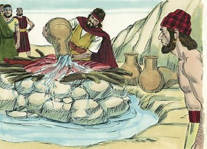 Elijah Confronts the False Prophets (Sunday School Lesson) - Ministry To Children