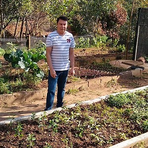 Você já viu um pé de antibiótico natural? | Canal Andre Resende