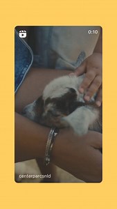 Center Parcs Nederland on Reels