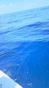 Heather Smith Outdoors on Reels