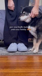 3.9K views · 12 reactions | #BombasPartner “There’s nothin’ better...