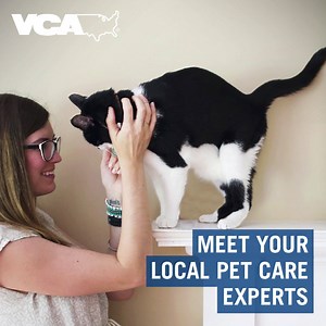 Get a First Free Exam when you visit your local VCA Animal Hospital. | VCA Animal Hospitals