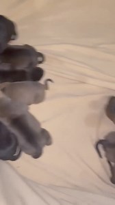 9K views · 42 reactions | Mama Amren came from a rural shelter in...