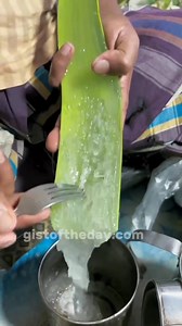 KCE College on Reels