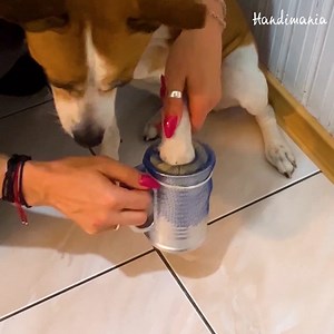 16K views · 45 reactions | Dogs often have dirty paws after a walk. How to make a DIY pet paw cleaner? 朗 | Handimania | Facebook